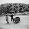 Bird Nest � 2007 Kadir van Lohuizen /NOOR