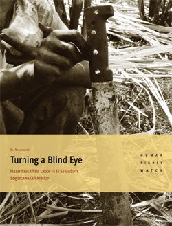 Turning a Blind Eye - Report Cover