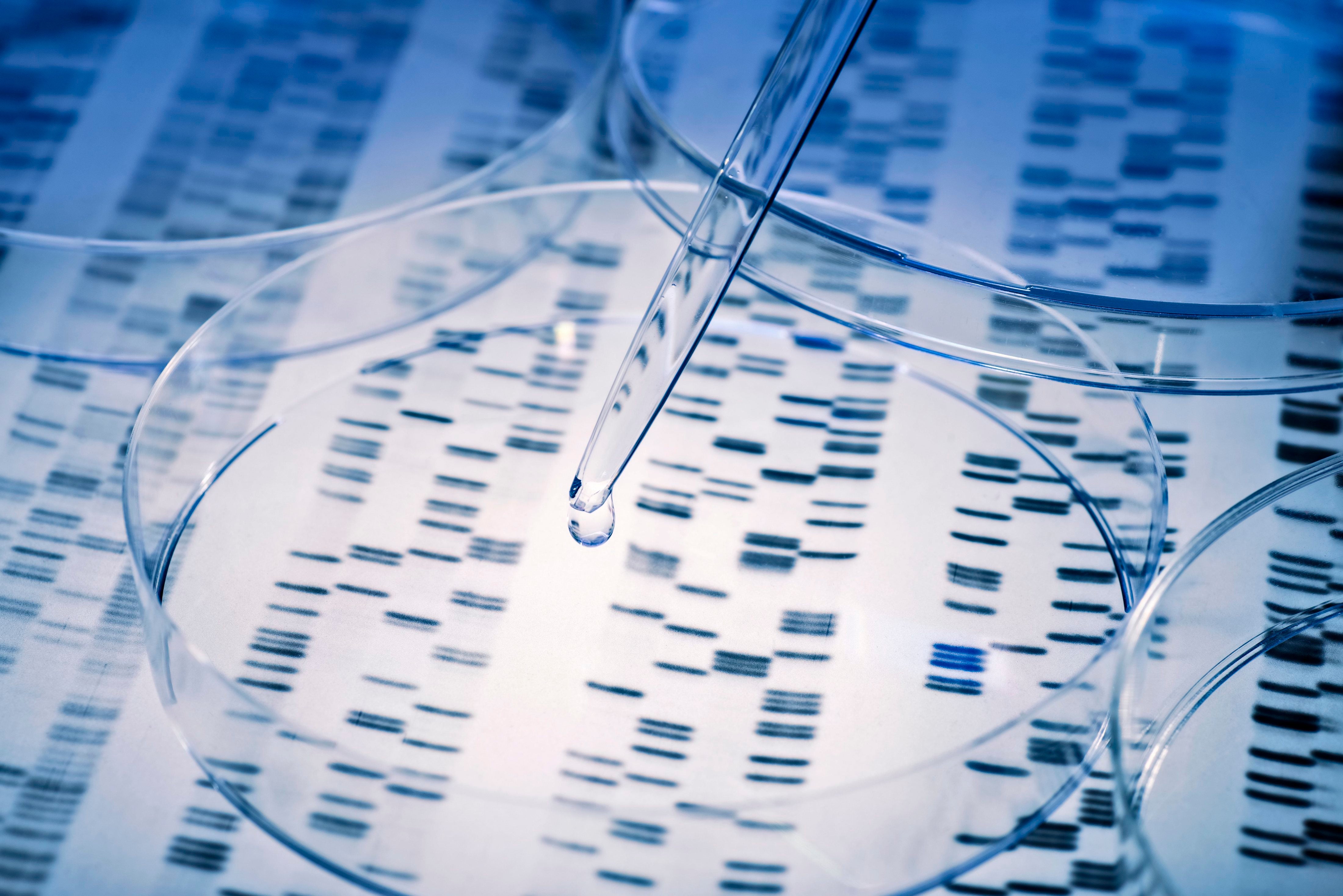 Образец ДНК переносится пипеткой в питательную среду, 20 января 2020 года.