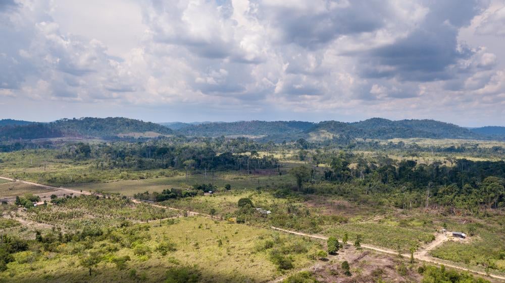 Terra Nossa settlement, where illegal logging takes place, September 30, 2019.