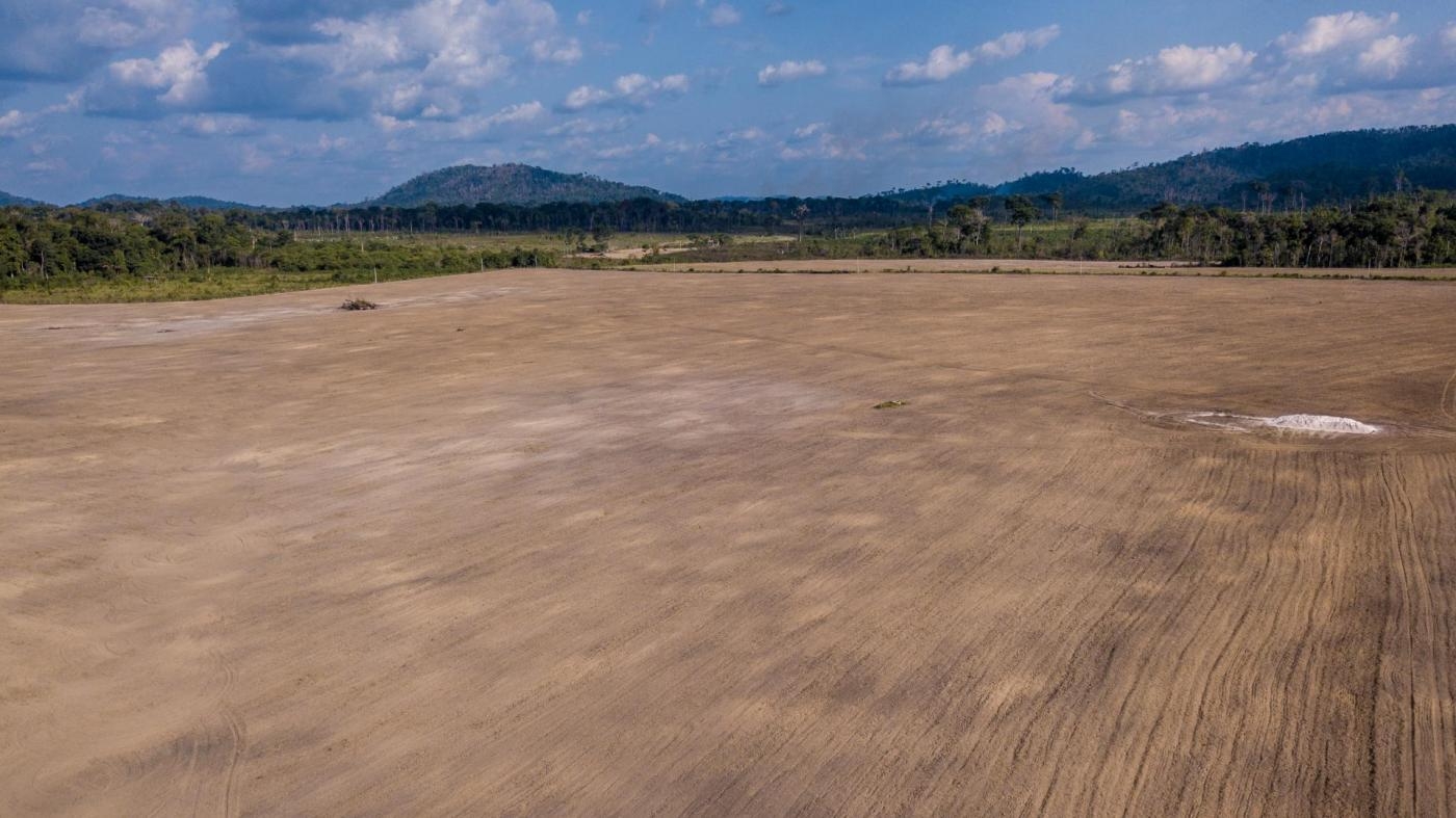  A field sown with soy within the Terra Nossa settlement, October 3, 2021.
 © 2021 Fernando Martinho/Repórter Brasil