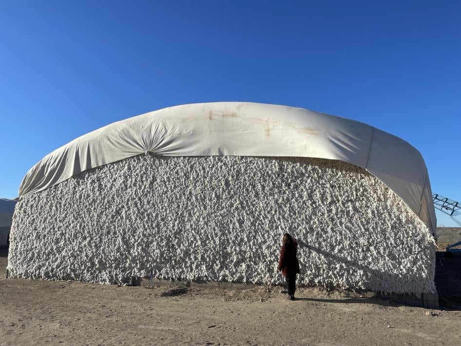 Raw cotton stored at the Oltin Tola Boston cooperative storage facility in Ellikkala district, Republic of Karakalpakstan, Uzbekistan. November 30, 2023. 