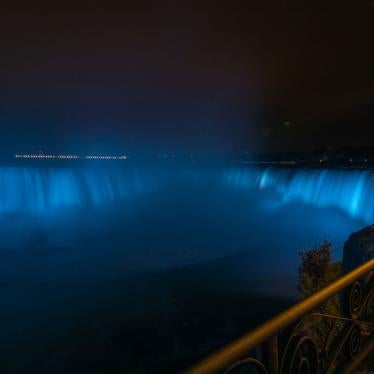 Niagara Falls shines blue for Human Rights Day.