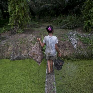 A child carries palm kernels collected from the ground across a creek at an oil palm plantation in Sumatra, Indonesia, November 2017.