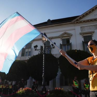 An activist waves the transgender flag during a protest at the Presidential Palace in Budapest.