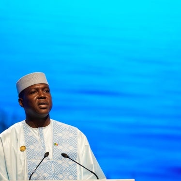 Abdoulaye Maiga, Malian minister of territorial administration, speaks at the COP27 UN Climate Summit, November 8, 2022, in Sharm el-Sheikh, Egypt.