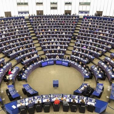 Members of the European Parliament sit in the plenary chamber of the European Parliament during a vote. Among other things, MEPs will vote today on a free trade agreement with Vietnam. 