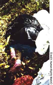 Massacre in the Forest (Part II)