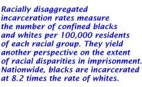 Quote on Racially disaggregated incarceration rates