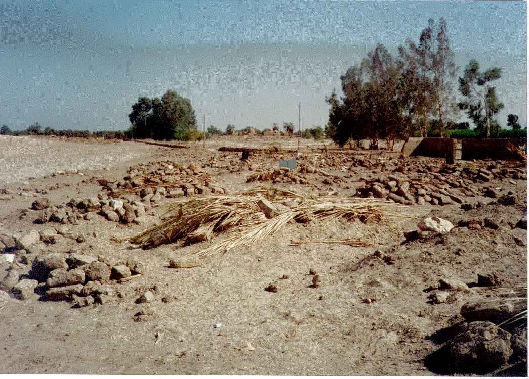 The Grave of 32 year old Islamist defence lawyer Abdel Harith Madani