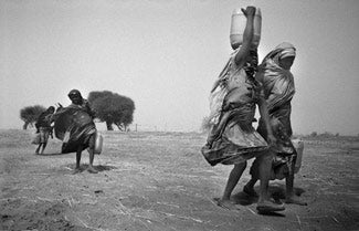 Sudanese refugees collect water in Chad.