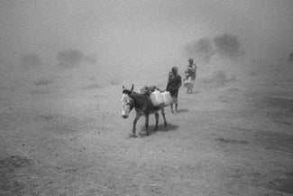 Sudanese refugees flee Darfur, western Sudan.