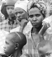 Les Commissions gouvernementales des droits de l'homme en Afrique : Protecteurs ou Pretendus Protecteurs?