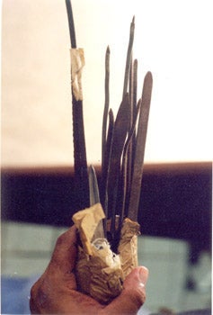 Centro Esperana, So Lus, Maranho