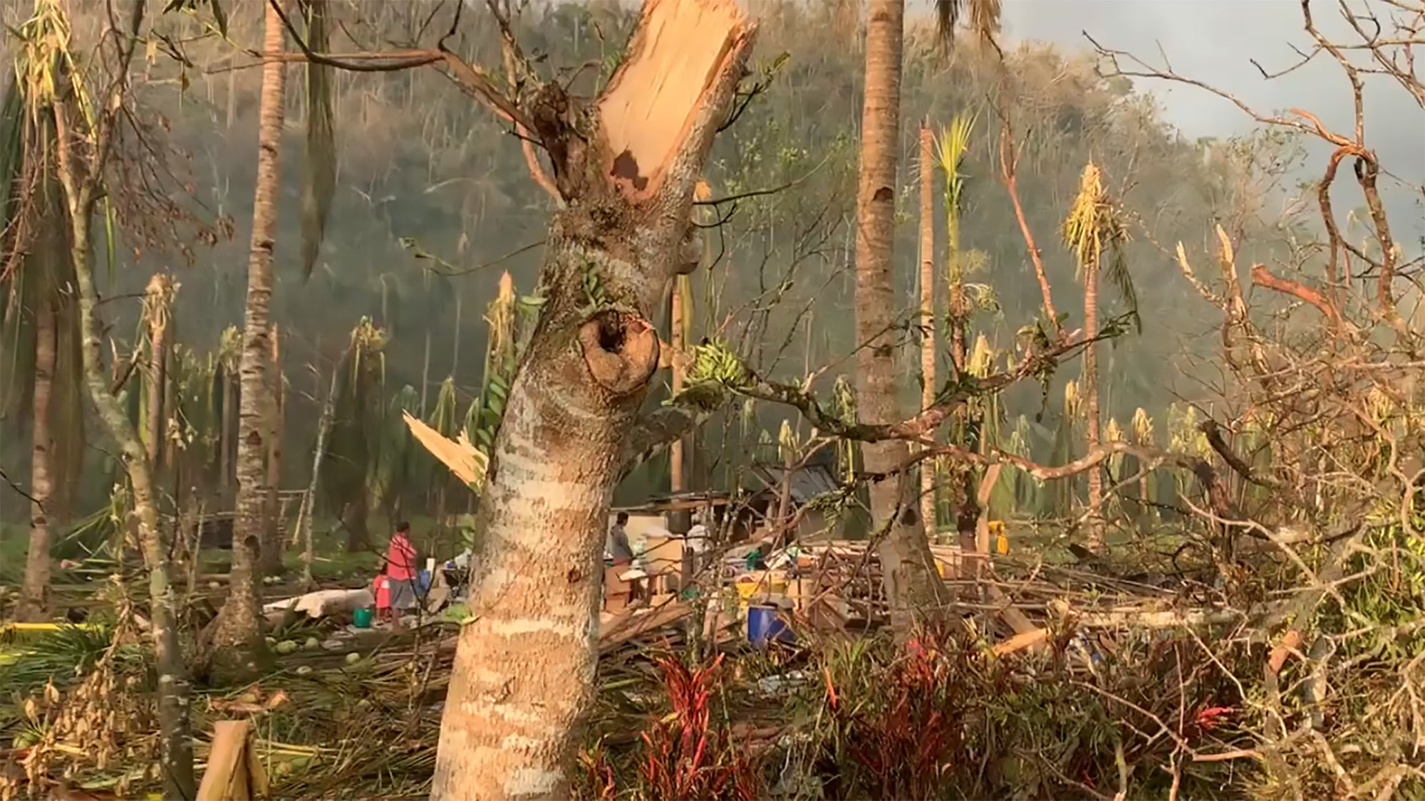 The aftermath of Typhoon Odette in Siargao, Philippines, 2021. (C) 2021 Camille Robiou du Pont and Edwin Poblacion 
