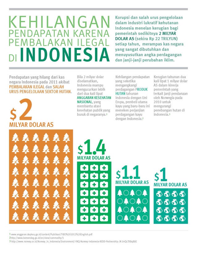 Illegal Logging in Indonesia - Infographic