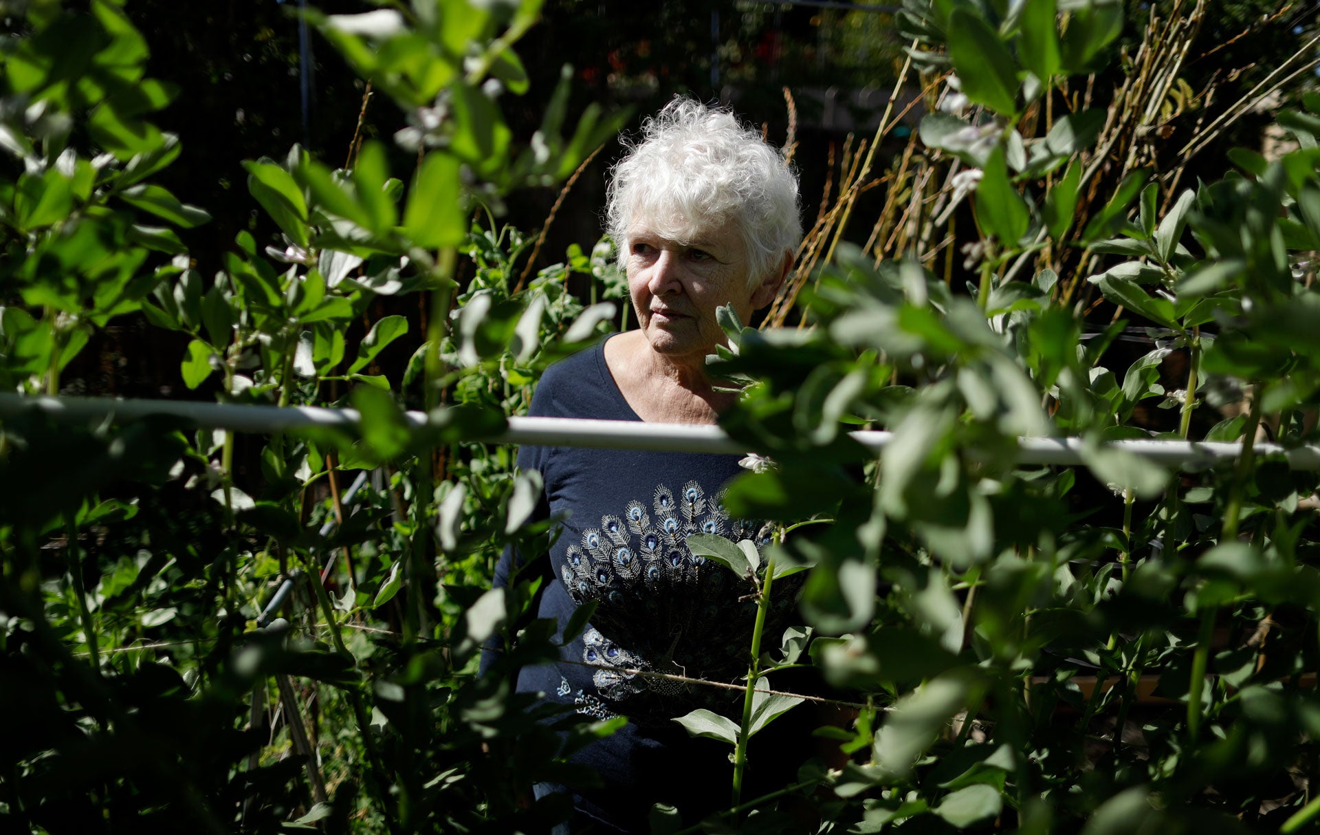 Christine Sheppard, in her backyard in Oceanside, California in March 2018, said she sprayed Roundup for years to control weeds on her coffee farm in Hawaii. In 2003, she was diagnosed with non-Hodgkin's lymphoma, which is now in remission but the cancer treatment causes her severe pain in her hands and legs.