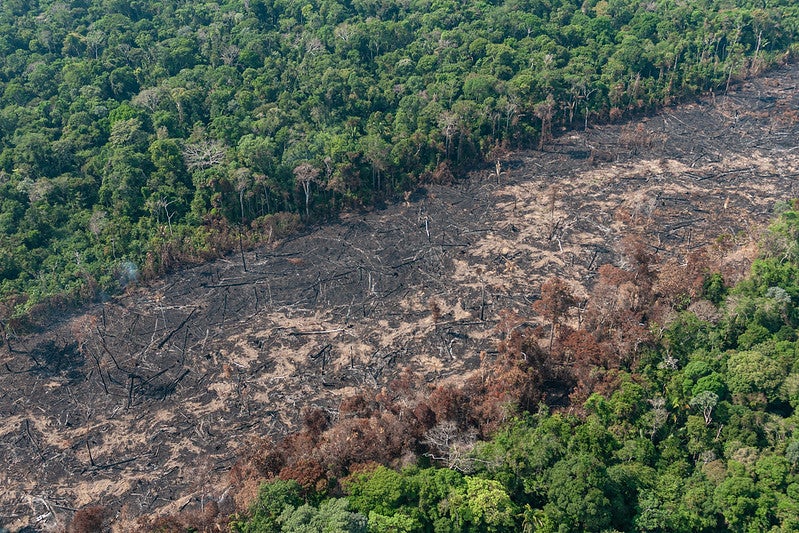 Image of an illegal deforestation strip in the Amazonian forest recorded during the Ibama’s Operation Brigada Verde, in Rondonia, Brazil in August 2019