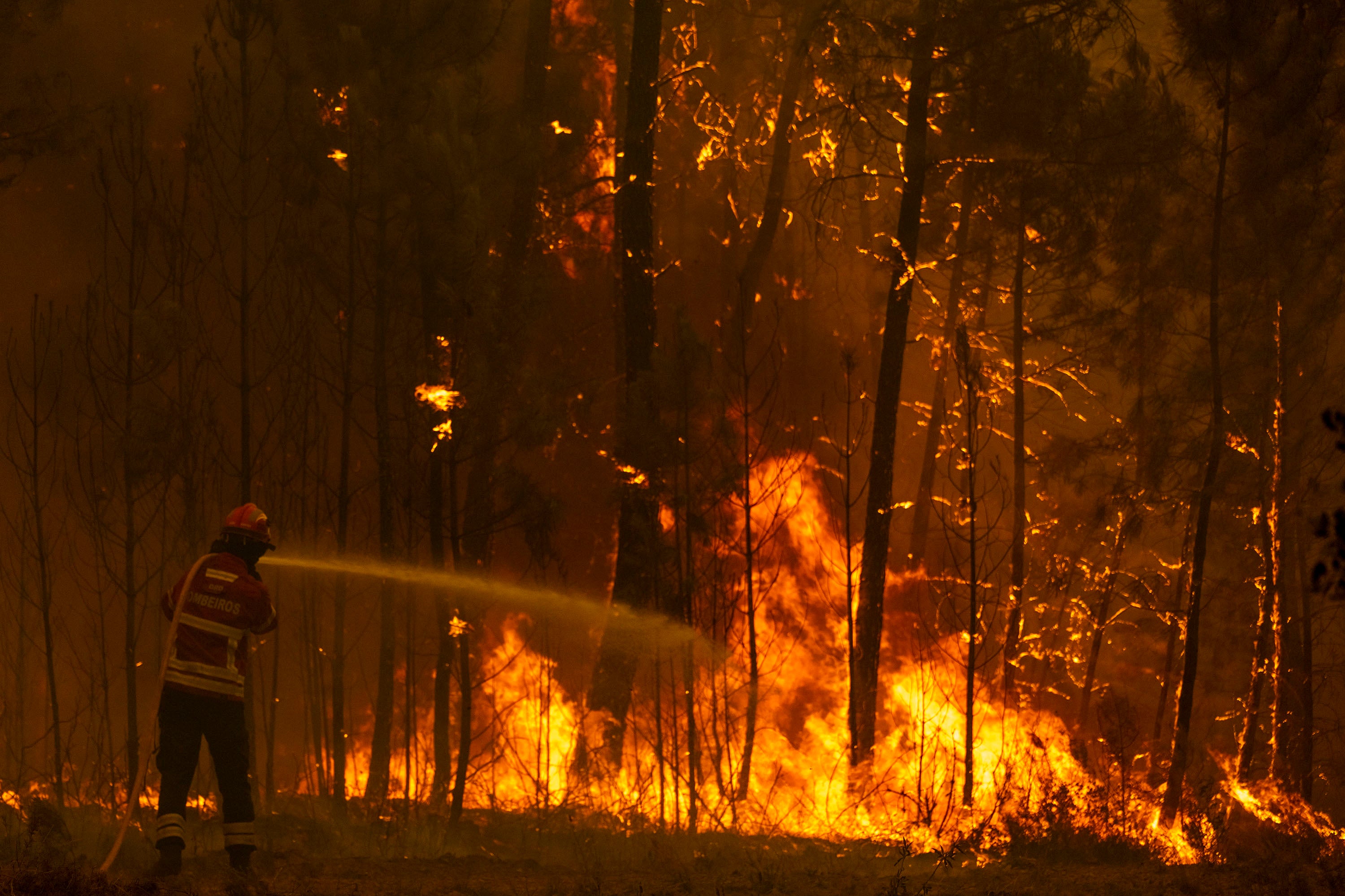 Portugal Wild Fires