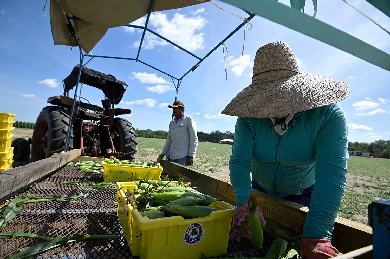 US Bans Toxic Pesticide on Food Crops