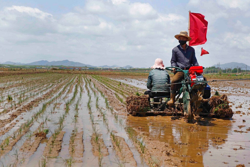 North Korea Controls Youth Through ‘Hard Labor’