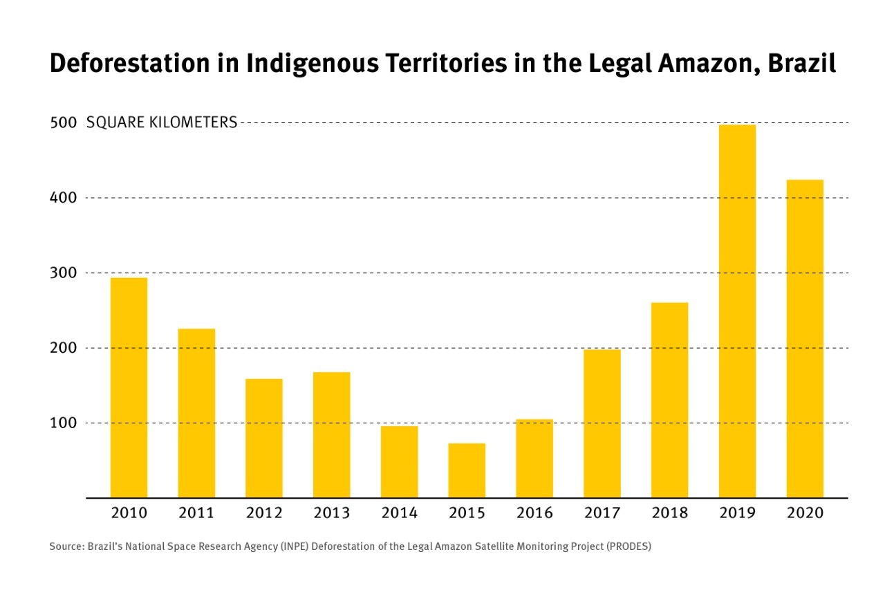 Deforestation Graph of Indigenous Territories in the Brazilian Amazon