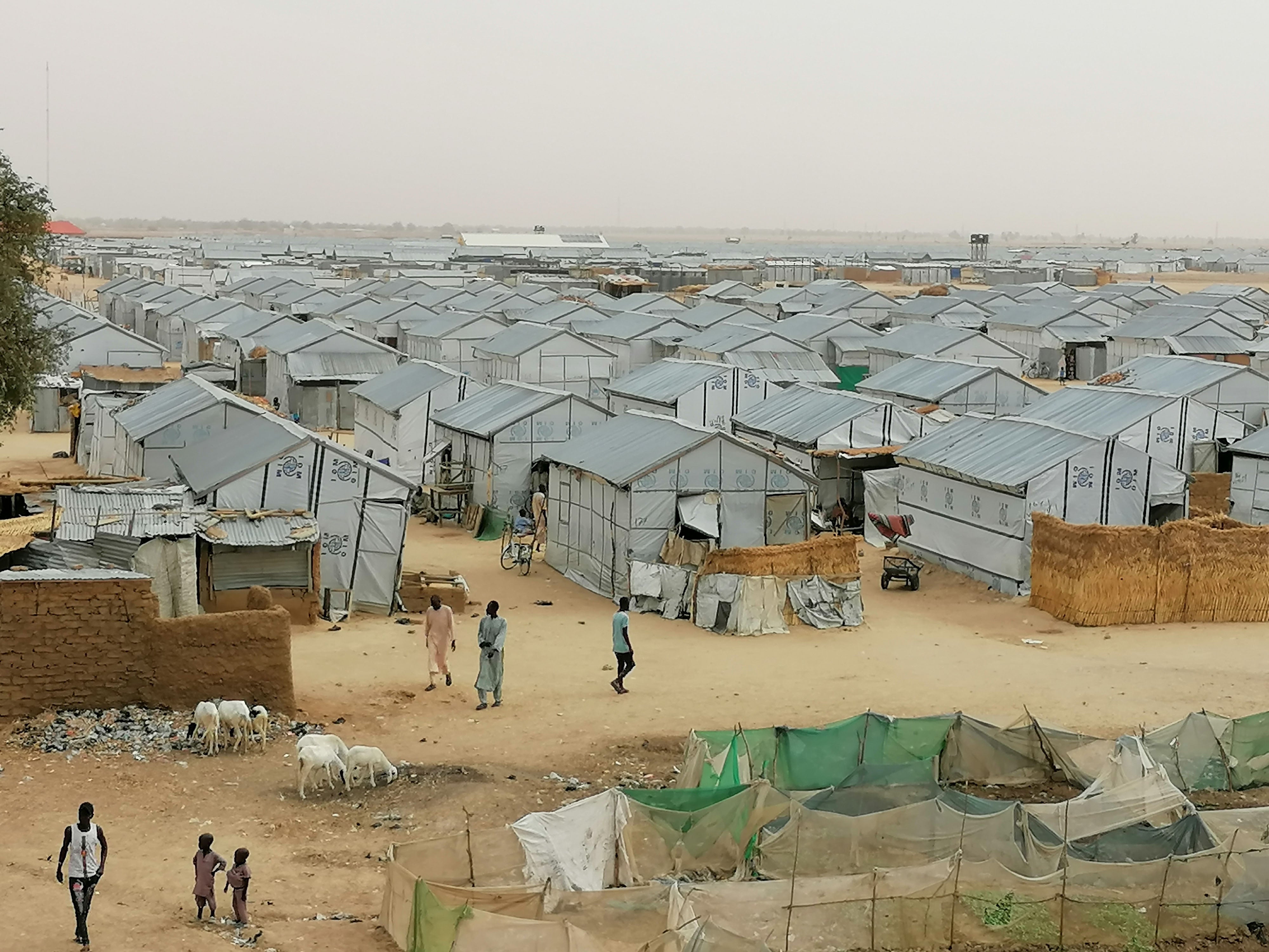 Nigeria: Hentikan Penutupan Kamp Pengungsi