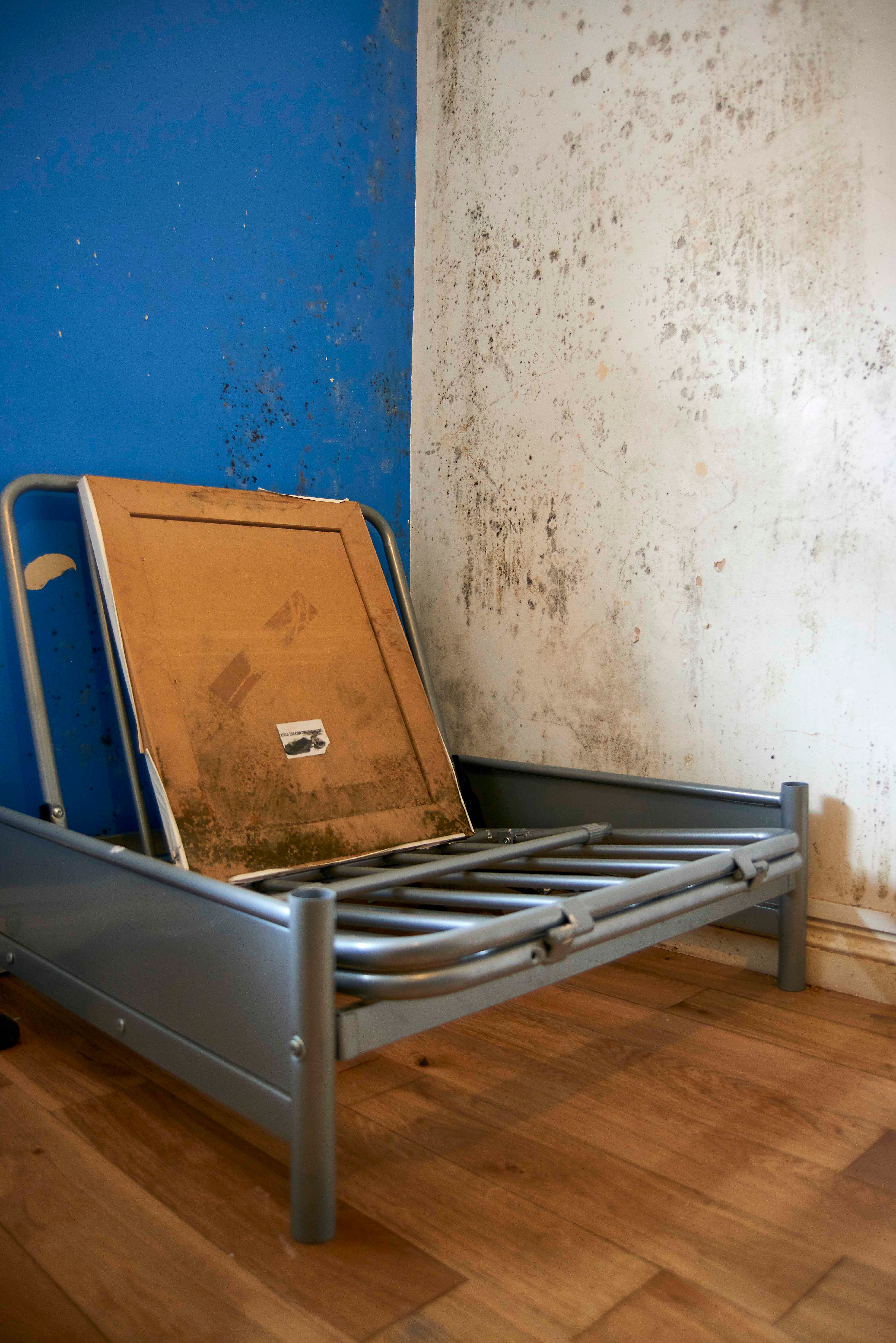 an empty piece of furniture against a mold-covered wall 