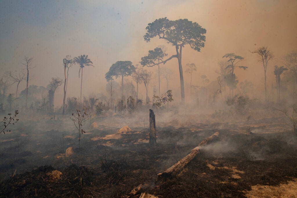 Fire consumes land deforested by cattle farmers ranchers near Novo Progresso, Para Pará State, Brazil, August 2020.