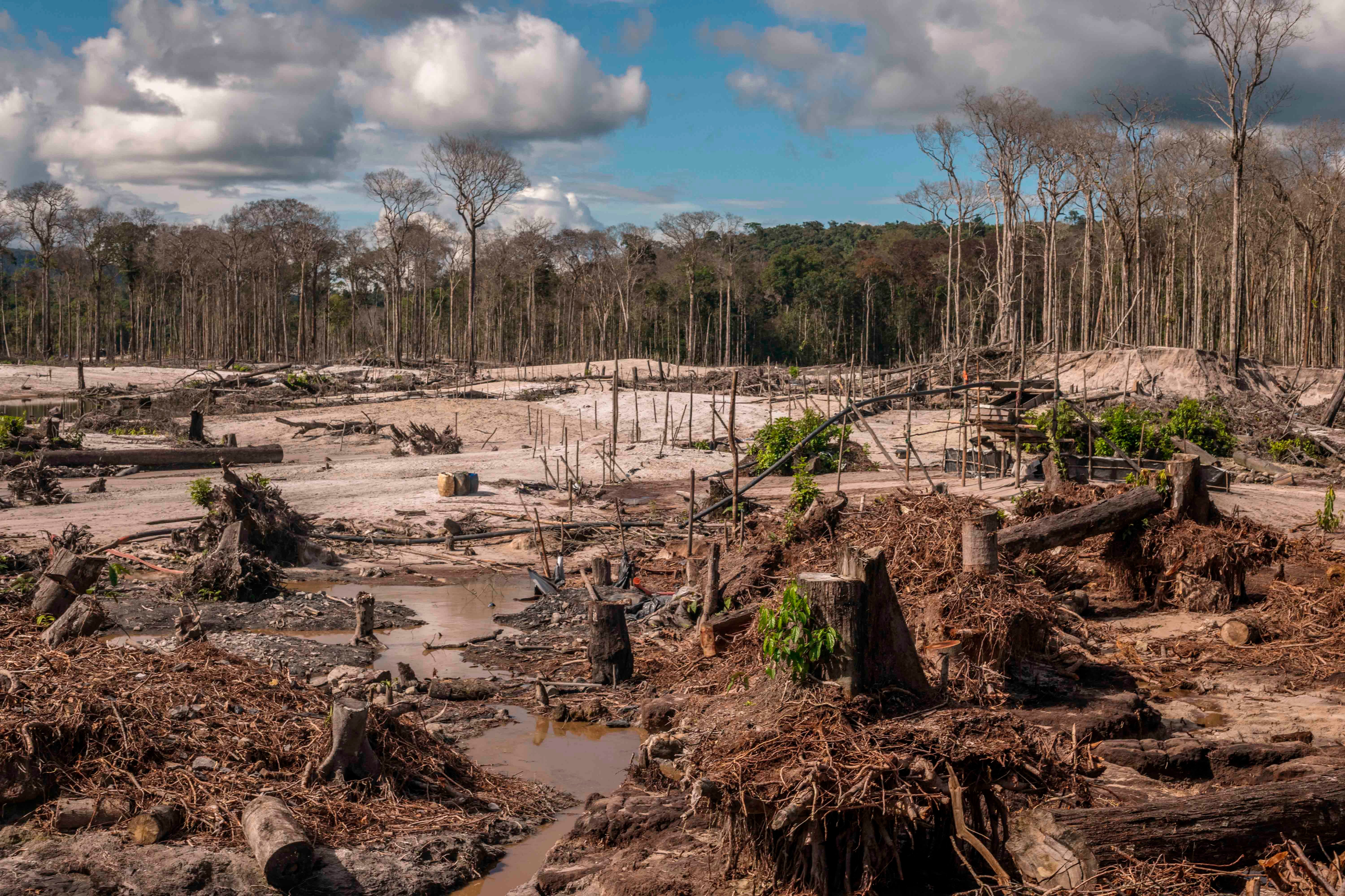 Une zone déboisée dans le territoire indigène Yanomami, photographiée en juin 2021 dans l’État de Roraima dans le nord du Brésil ; une partie de ce territoire s’étend aussi dans l’État d'Amazonas, dans le nord-ouest du pays.