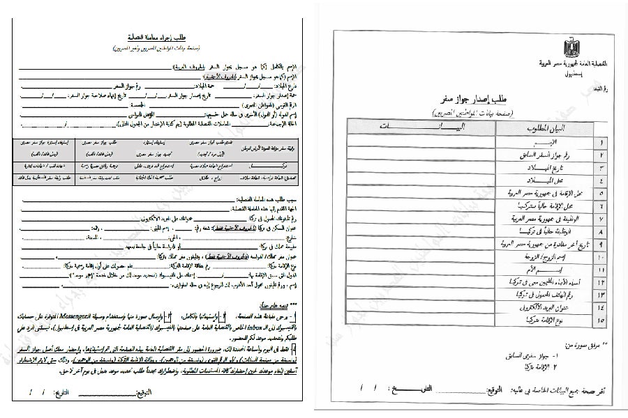  النماذج التي تطلبها ملءها القنصلية المصرية في إسطنبول. تتطلب هذه النماذج تفاصيل كثيرة وغير ضرورية ولا ينص عليها القانون من أجل الحصول على جواز سفر جديد. تُرسل النماذج المعبأة إلى الأجهزة الأمنية في مصر للحصول على موافقتها قبل العمل على أي طلبات.  