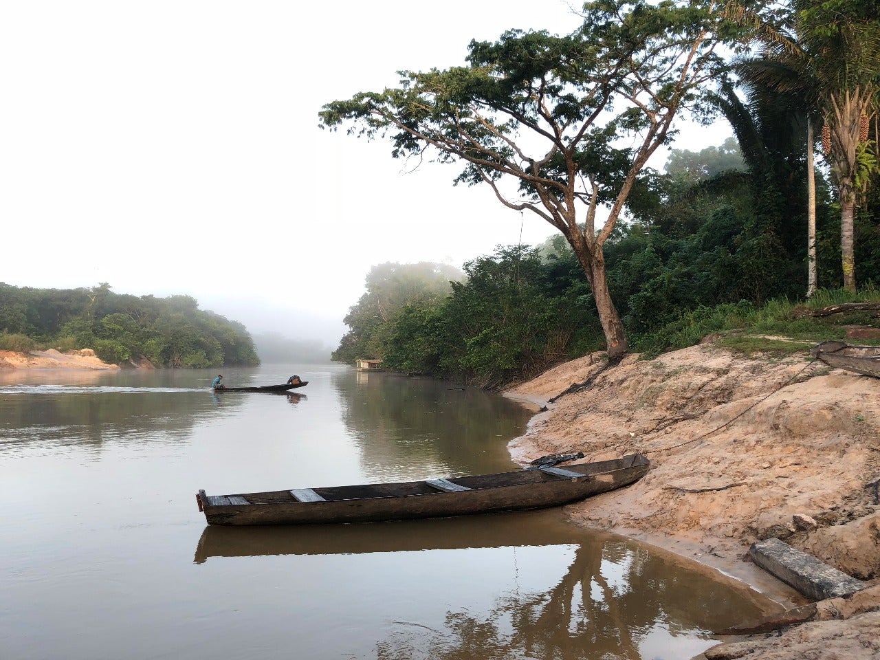 Terra Indígena Caru, estado do Maranhão, Brasil, 2019.