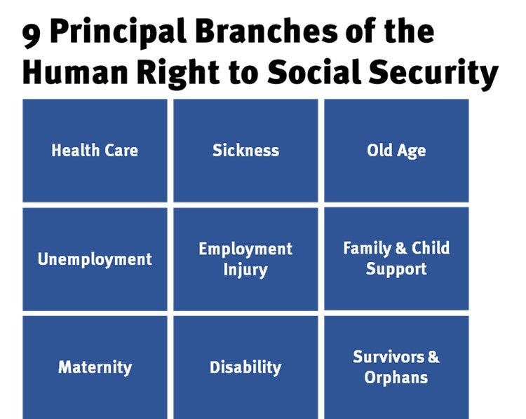 9 Principles Branches of the Human Right to Social Security