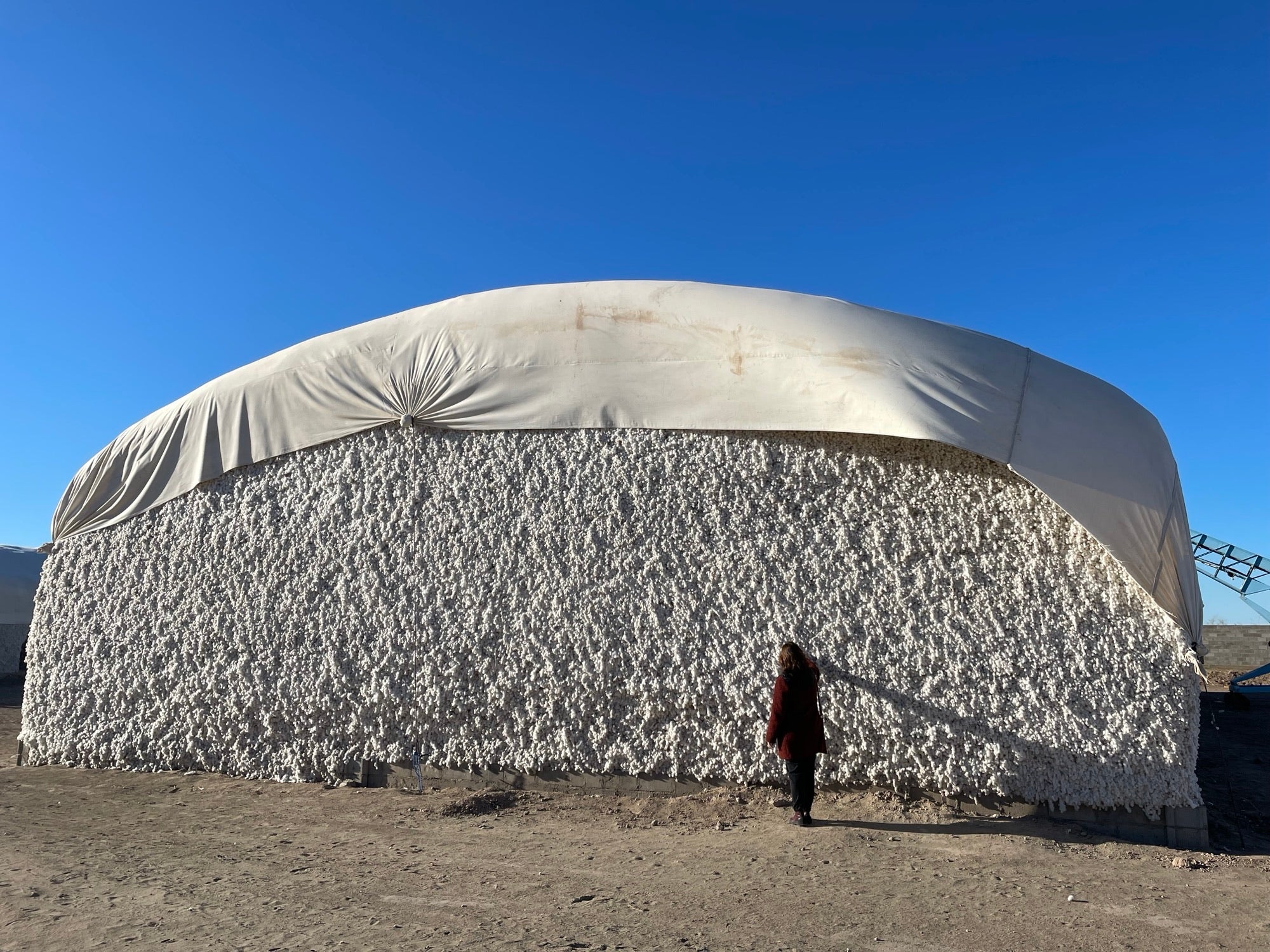 Raw cotton stored at the Oltin Tola Boston cooperative storage facility in Ellikkala district, Republic of Karakalpakstan, Uzbekistan. November 30, 2023.