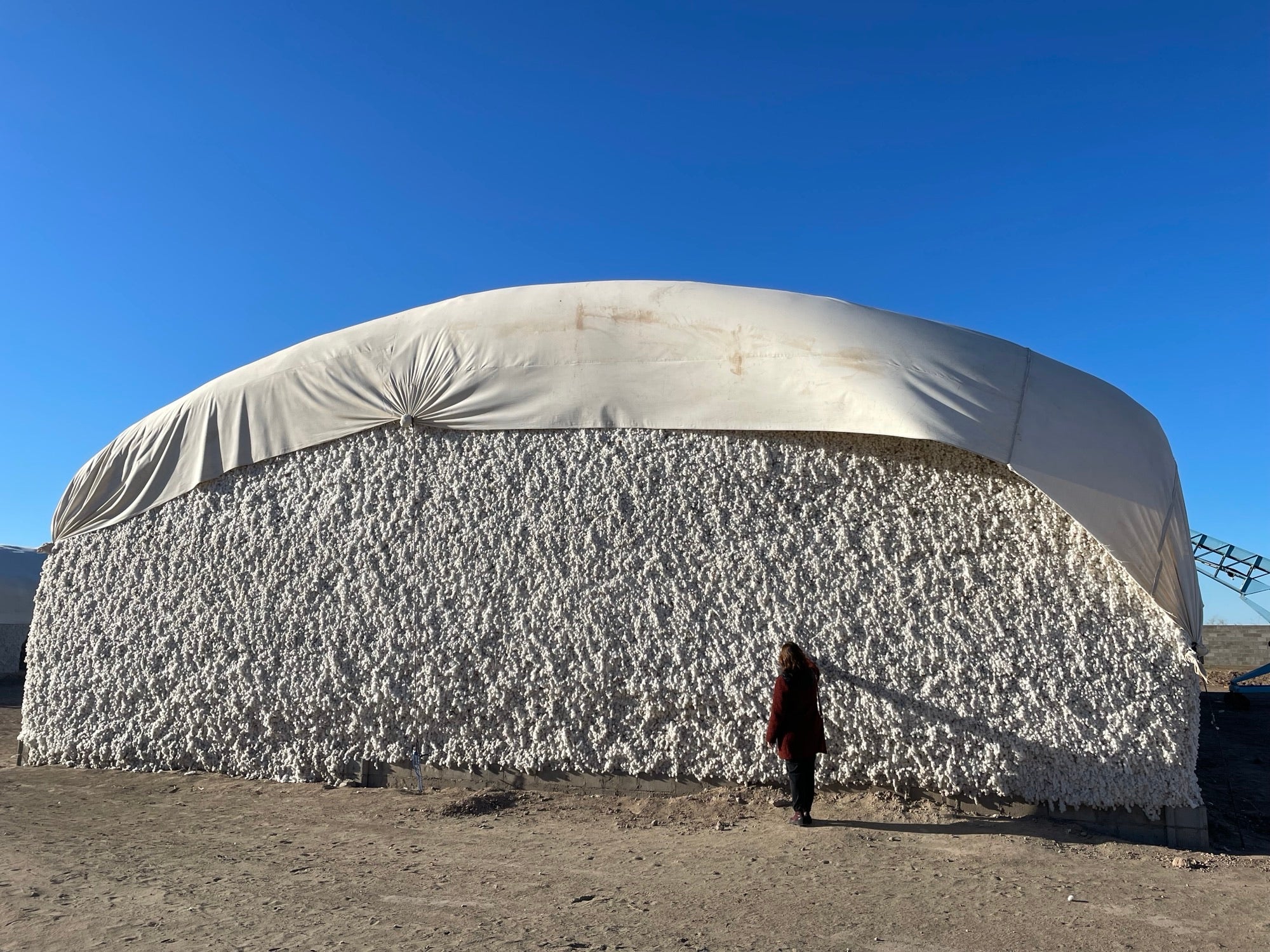 Raw cotton stored at the Oltin Tola Boston cooperative storage facility in Ellikkala district, Republic of Karakalpakstan, Uzbekistan. November 30, 2023. 