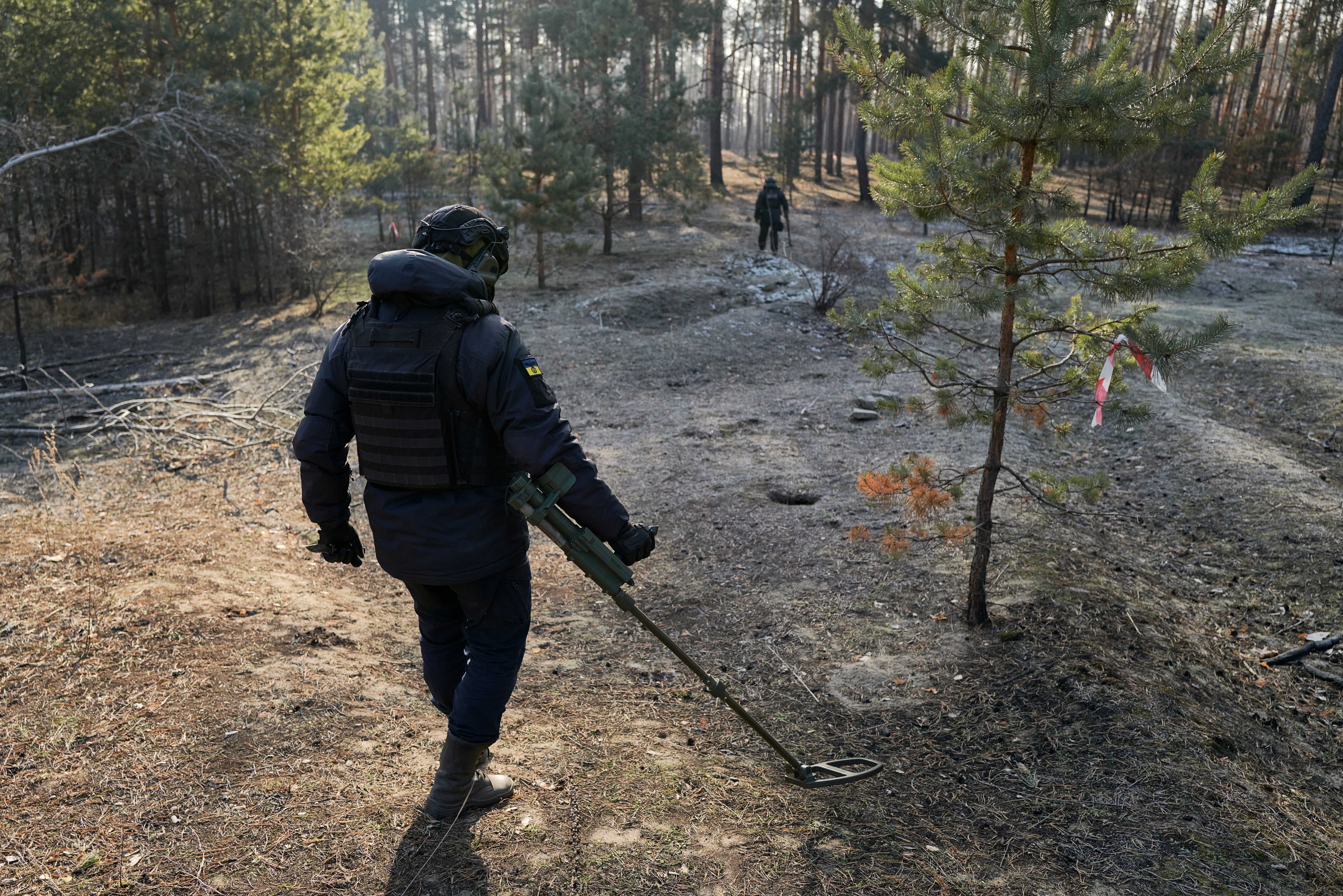 A demining team walking in a forest