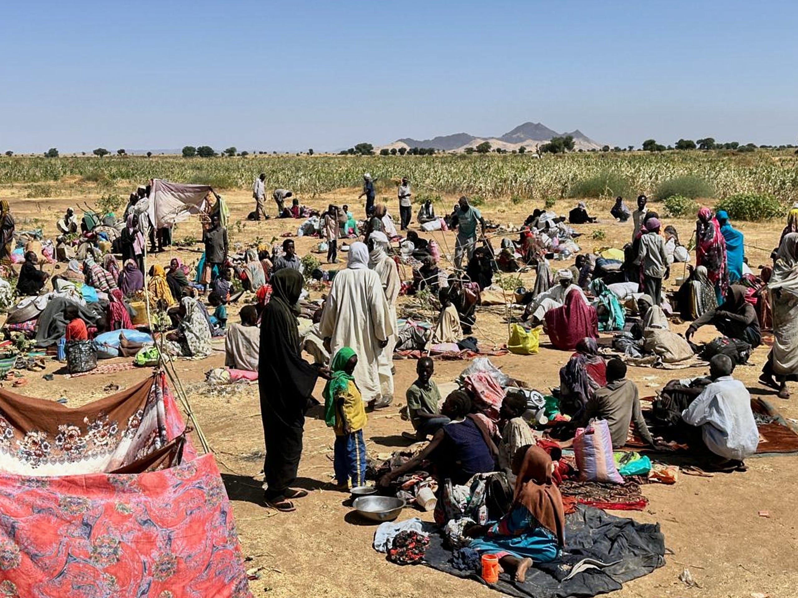 Displaced families from El Fasher at a displacement camp where they sought refuge from fighting between government forces and the Rapid Support Forces, in Tawila, Darfur region, Sudan, October 1, 2025. 