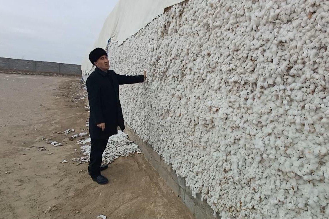 A man stands next to a mound of raw cotton