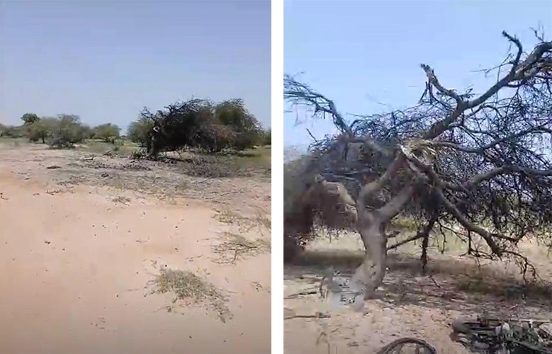 Aftermath of the apparent Malian military drone strike on September 16, 2026, in Guélédié village, Mopti region, Mali. Screenshots from video analyzed and geolocated by Human Rights Watch.