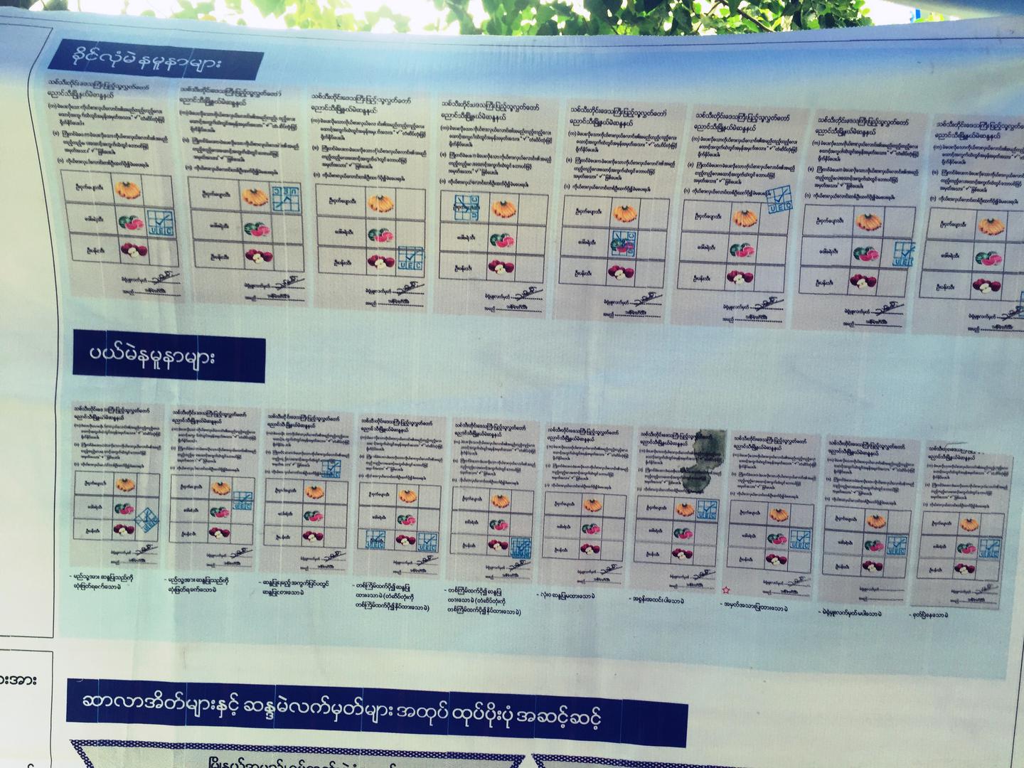A poster illustrating valid and invalid voting methods at a voter education booth. 