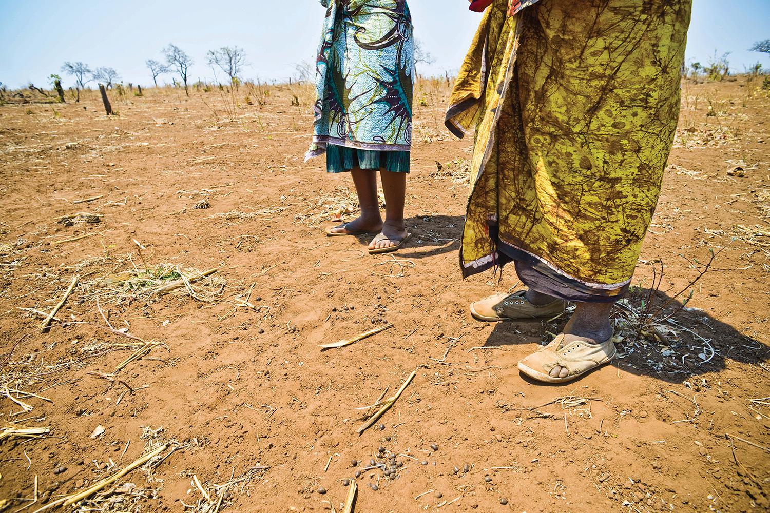 Female farmers resettled to Mwaladzi received land with poor access to water and limited productivity. The compensation package also included a new house.