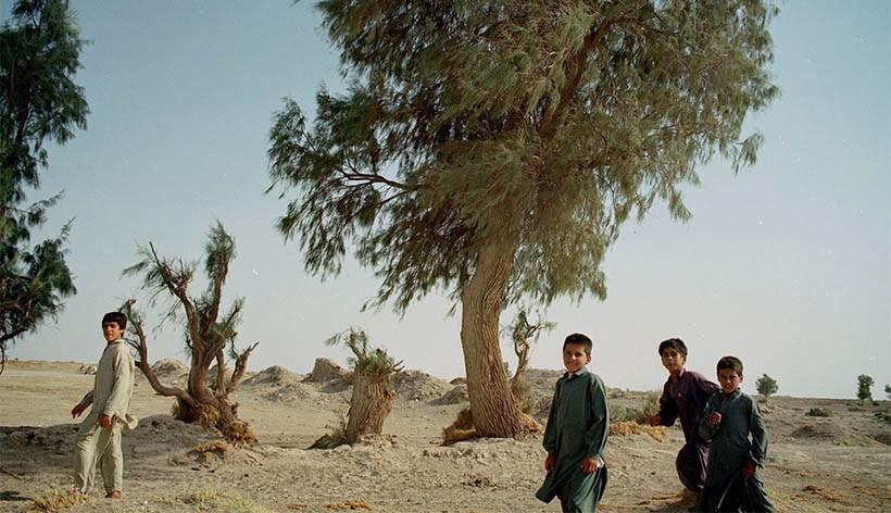 Young Iranian boys play under a tree beside a well outside Zabol in Iran's Sistan-Baluchestan province, July 17, 2001.