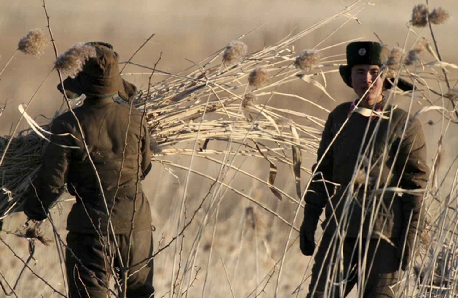 Soldiers collect straw on Hwanggumpyong Island, near the North Korean town of Sinuiju on January 6, 2016. ©2016 Reuters