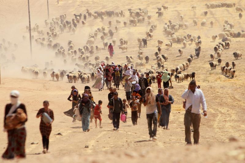 Displaced people from the minority Yezidi sect, fleeing violence from forces loyal to the Islamic State in Sinjar town, walk towards the Syrian border, on the outskirts of Sinjar mountain, near the Syrian border town of Elierbeh of Al-Hasakah Governorate 