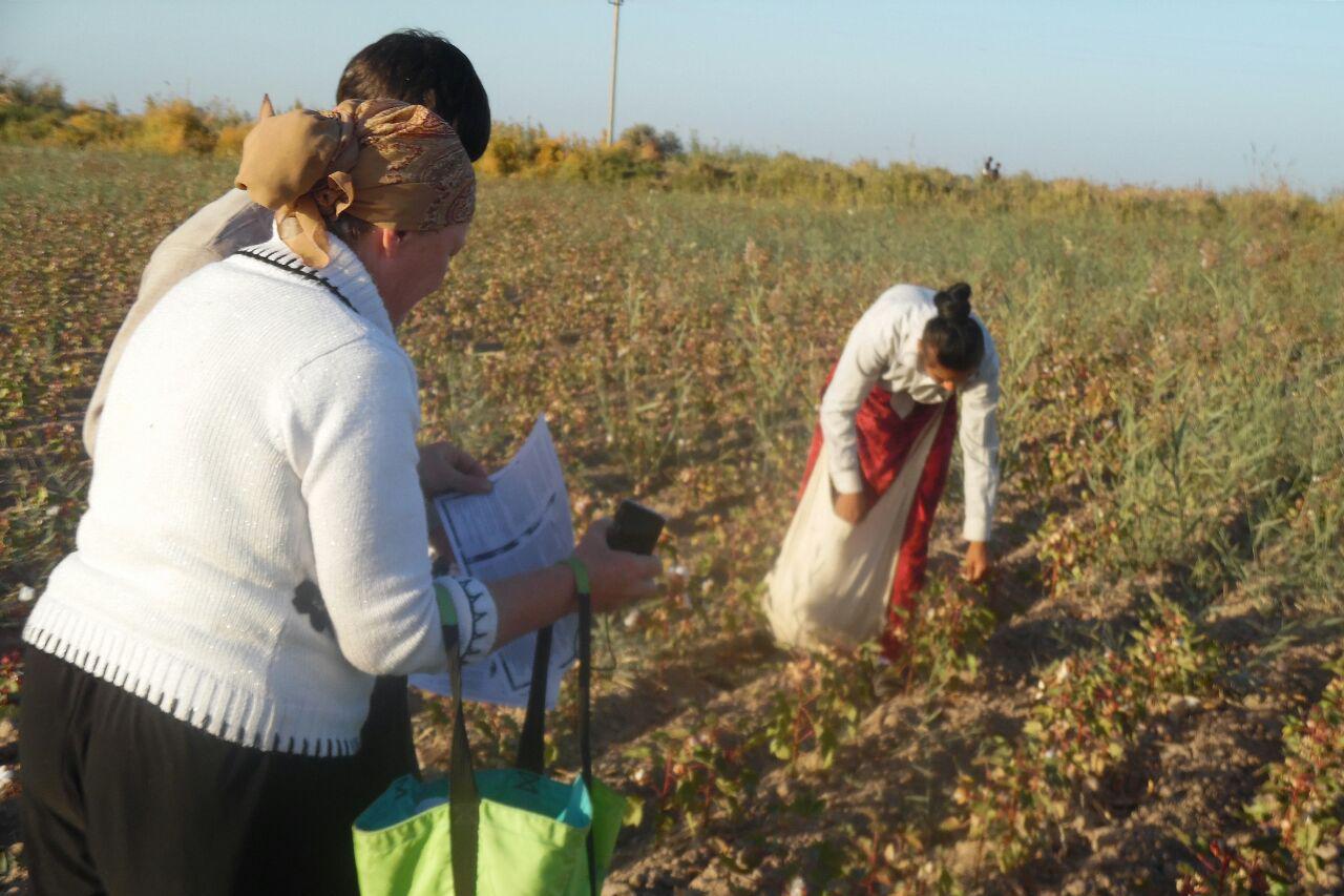 Long-time human rights defender, Elena Urlaeva, distributing Uzbek-German Forum booklets on the prohibition of forced labor under Uzbek law, Khorezm region during the 2015 harvest. 