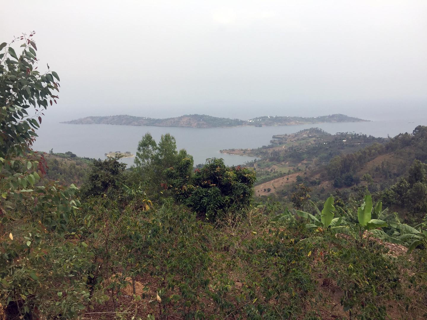 Bugarura island in Boneza sector, Rutsiro district. 