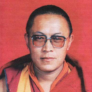 西藏高僧丹增德勒仁波切，因兴办学校、寺院和孤儿院广受藏人爱戴。