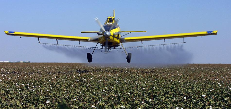 A crop dusting plane dusts cotton crops in Lemoore, California