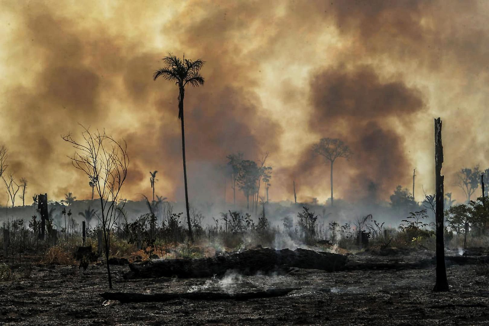 Un incendie de forêt ravage la zone de Santo Antonio do Matupi, dans le sud de l’État d’Amazonas, au Brésil, le 27 août 2019.
