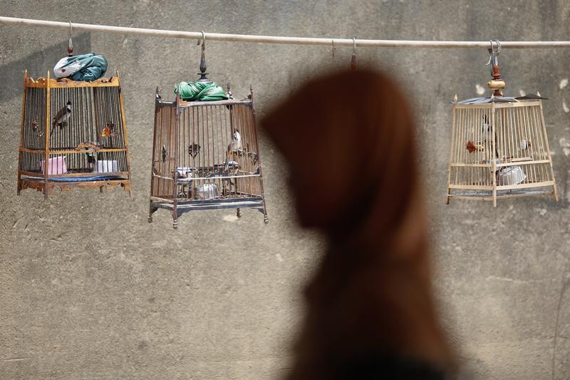 A woman walks past birdcages after she crossed the border from Malaysia into Thailand in Sungai Kolok in southern Narathiwat province March 8, 2013.